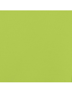 Rimorchio da Bici Nero e Verde 45 kg in Ferro