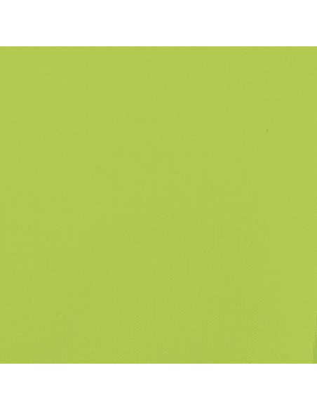 Rimorchio da Bici Nero e Verde 45 kg in Ferro