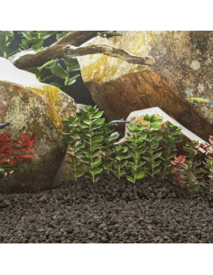 Rocce Vulcaniche 10 kg Nere 1-2 cm