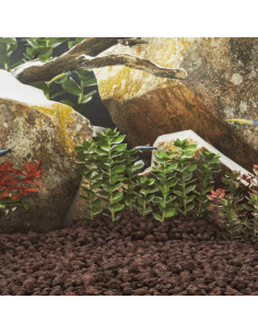 Rocce Vulcaniche 10 kg Rosse 5-8 cm 2