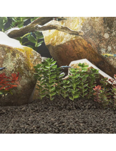 Rocce Vulcaniche 25 kg Nere 1-2 cm