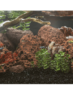 Rocce Vulcaniche 25 kg Rosse 10-30 cm 2