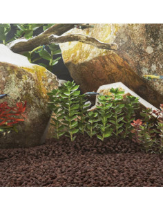 Rocce Vulcaniche 25 kg Rosse 5-8 mm