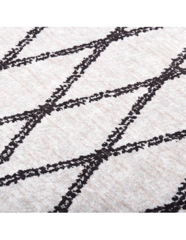 Tappeto Lavabile 190x300 cm Nero e Bianco Antiscivolo