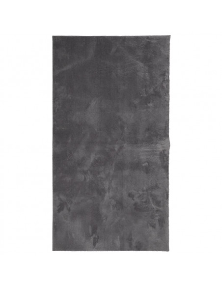 Tappeto a Pelo Corto HUARTE Morbido Lavabile Antracite 80x150cm