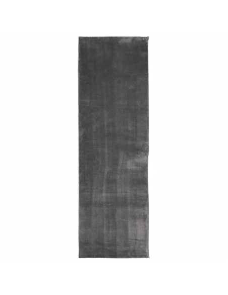 Tappeto a Pelo Corto HUARTE Morbido Lavabile Antracite 80x250cm