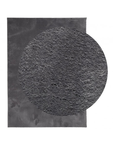 Tappeto Pelo Corto HUARTE Morbido Lavabile Antracite 120x170 cm