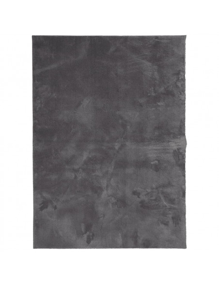 Tappeto Pelo Corto HUARTE Morbido Lavabile Antracite 160x230 cm