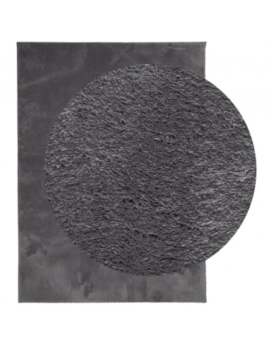 Tappeto Pelo Corto HUARTE Morbido Lavabile Antracite 160x230 cm