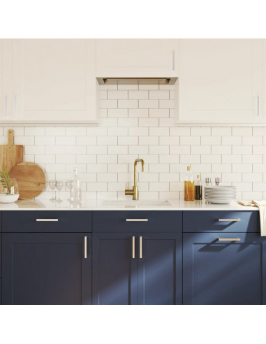 Maniglie per Mobili 20 pz Argento 160 mm in Acciaio Inox