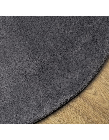 Tappeto a Pelo Corto HUARTE Morbido e Lavabile Antracite Ø120cm