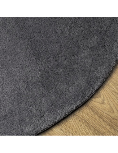 Tappeto a Pelo Corto HUARTE Morbido e Lavabile Antracite Ø200cm