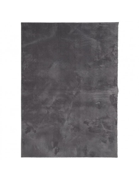 Tappeto Pelo Corto HUARTE Morbido Lavabile Antracite 200x280 cm