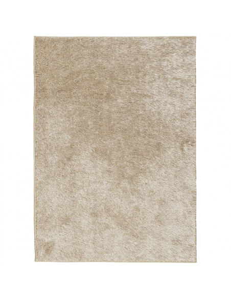 Tappeto a Pelo Lucido Lungo ISTAN Effetto Beige 200x280 cm
