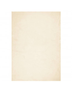 Tappeto a Pelo Corto HUARTE Morbido e Lavabile Crema 160x230 cm