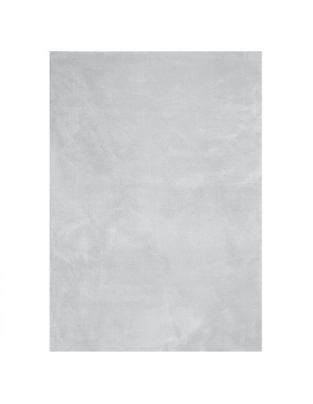 Tappeto a Pelo Corto HUARTE Morbido e Lavabile Grigio 200x280cm