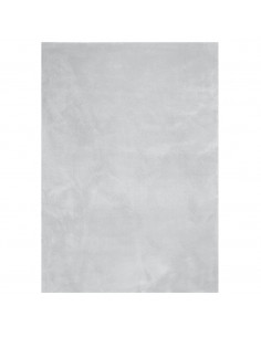 Tappeto a Pelo Corto HUARTE Morbido e Lavabile Grigio 240x340cm