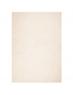 Tappeto a Pelo Corto HUARTE Morbido e Lavabile Beige 240x340 cm
