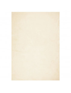Tappeto a Pelo Corto HUARTE Morbido e Lavabile Crema 240x340 cm