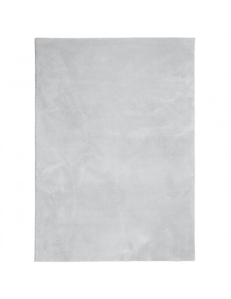 Tappeto a Pelo Corto HUARTE Morbido e Lavabile Grigio 160x230cm