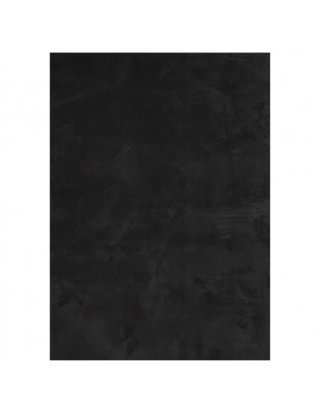 Tappeto a Pelo Corto HUARTE Morbido e Lavabile Nero 120x170cm