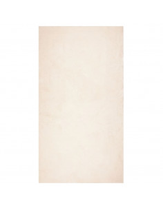Tappeto a Pelo Corto HUARTE Morbido e Lavabile Beige 80x150 cm