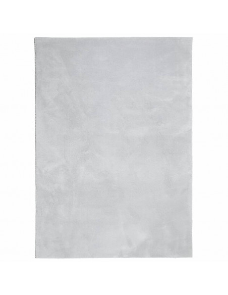 Tappeto a Pelo Corto HUARTE Morbido e Lavabile Grigio 140x200cm