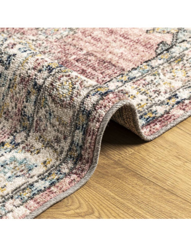 Tappeto ARBIZU Interni e Esterni Design Vintage 80x250 cm