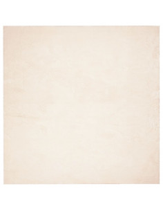 Tappeto a Pelo Corto HUARTE Morbido e Lavabile Beige 240x240 cm
