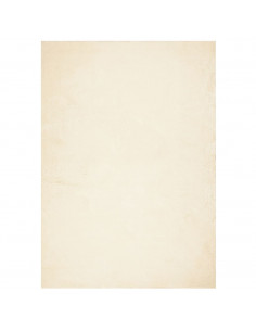Tappeto a Pelo Corto HUARTE Morbido e Lavabile Crema 120x170 cm