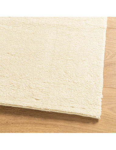 Tappeto a Pelo Corto HUARTE Morbido e Lavabile Crema 120x170 cm
