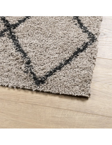 Tappeto Shaggy a Pelo Lungo Moderno Beige e Antracite 240x240cm