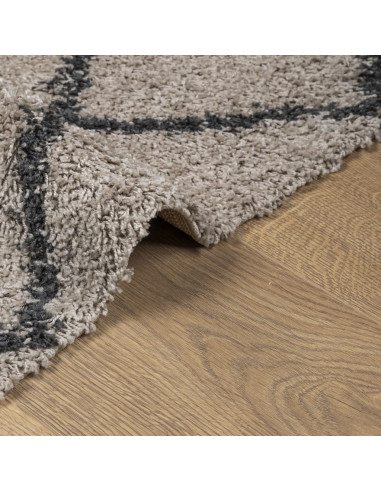 Tappeto Shaggy a Pelo Lungo Moderno Beige e Antracite 240x240cm