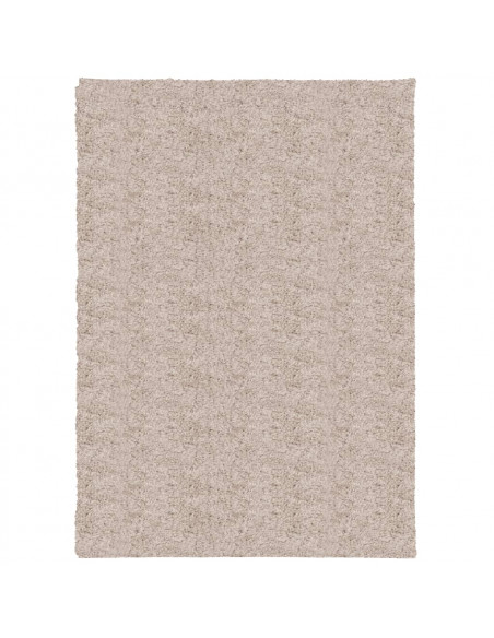 Tappeto Shaggy a Pelo Lungo Moderno Beige 120x170 cm