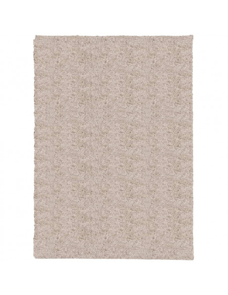 Tappeto Shaggy a Pelo Lungo Moderno Beige 200x280 cm
