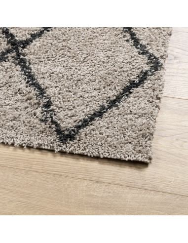 Tappeto Shaggy a Pelo Lungo Moderno Beige e Antracite 160x230cm