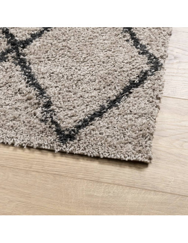 Tappeto Shaggy a Pelo Lungo Moderno Beige e Antracite 80x150 cm