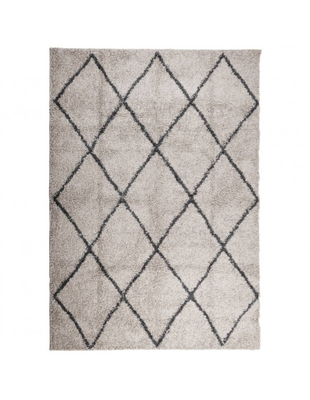 Tappeto Shaggy a Pelo Lungo Moderno Beige e Antracite 120x170cm