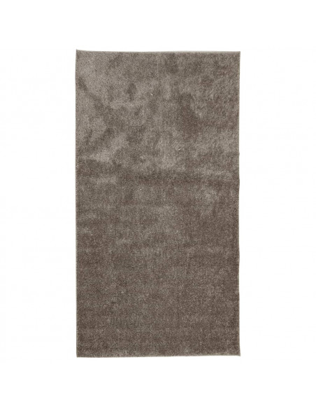 Tappeto a Pelo Lucido Lungo ISTAN Effetto Grigio 80x150 cm