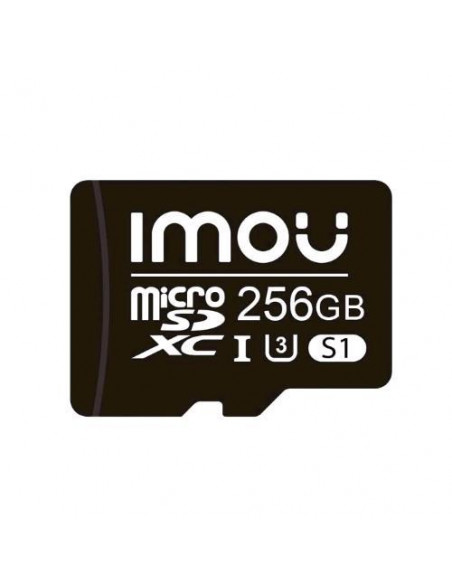 SD CARD 256GB CLASS 1