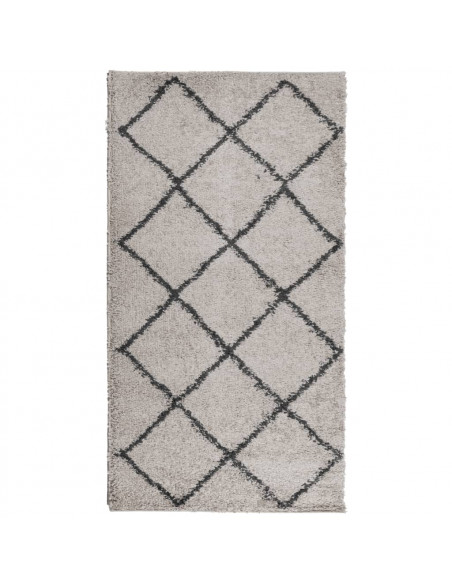 Tappeto Shaggy a Pelo Lungo Moderno Beige e Antracite 60x110cm