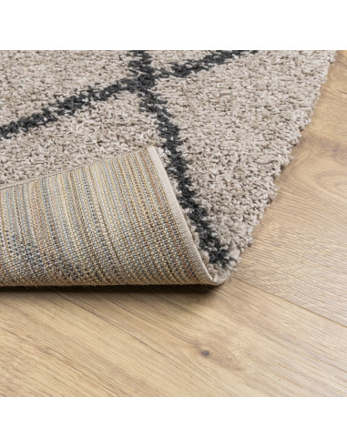 Tappeto Shaggy a Pelo Lungo Moderno Beige e Antracite 80x200 cm
