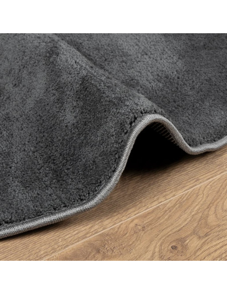 Tappeto OVIEDO a Pelo Corto Antracite Ø 120 cm