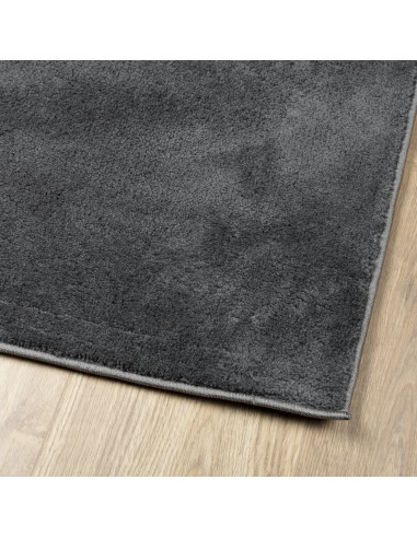 Tappeto OVIEDO a Pelo Corto Antracite 160x230 cm