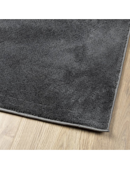 Tappeto OVIEDO a Pelo Corto Antracite 200x280 cm