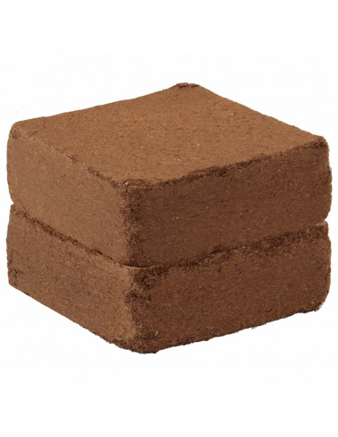 Blocchi in Fibra di Cocco 2 pz 5 kg Ciascuno 10 kg Totale
