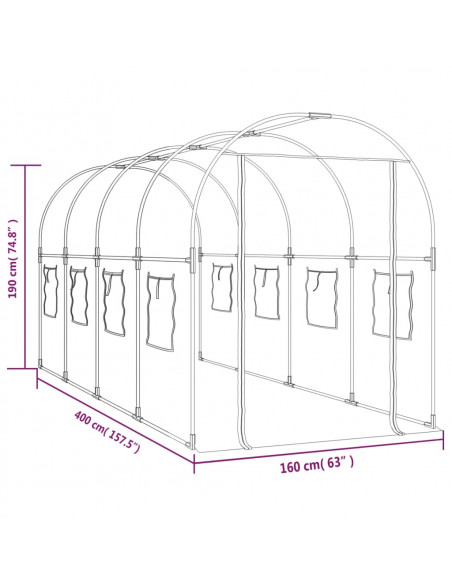 Serra Trasparente 160x400x190 cm PVC Acciaio Verniciato Polvere