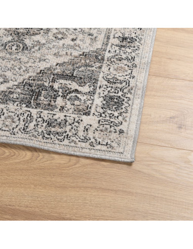 Tappeto ARBIZU Interni e Esterni Design Vintage 80x150 cm