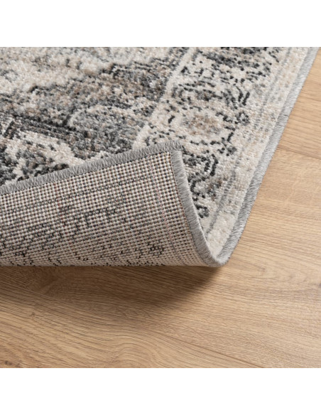 Tappeto ARBIZU Interni e Esterni Design Vintage 80x250 cm