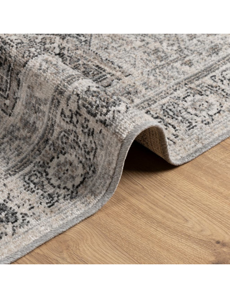 Tappeto ARBIZU Interni e Esterni Design Vintage 80x250 cm